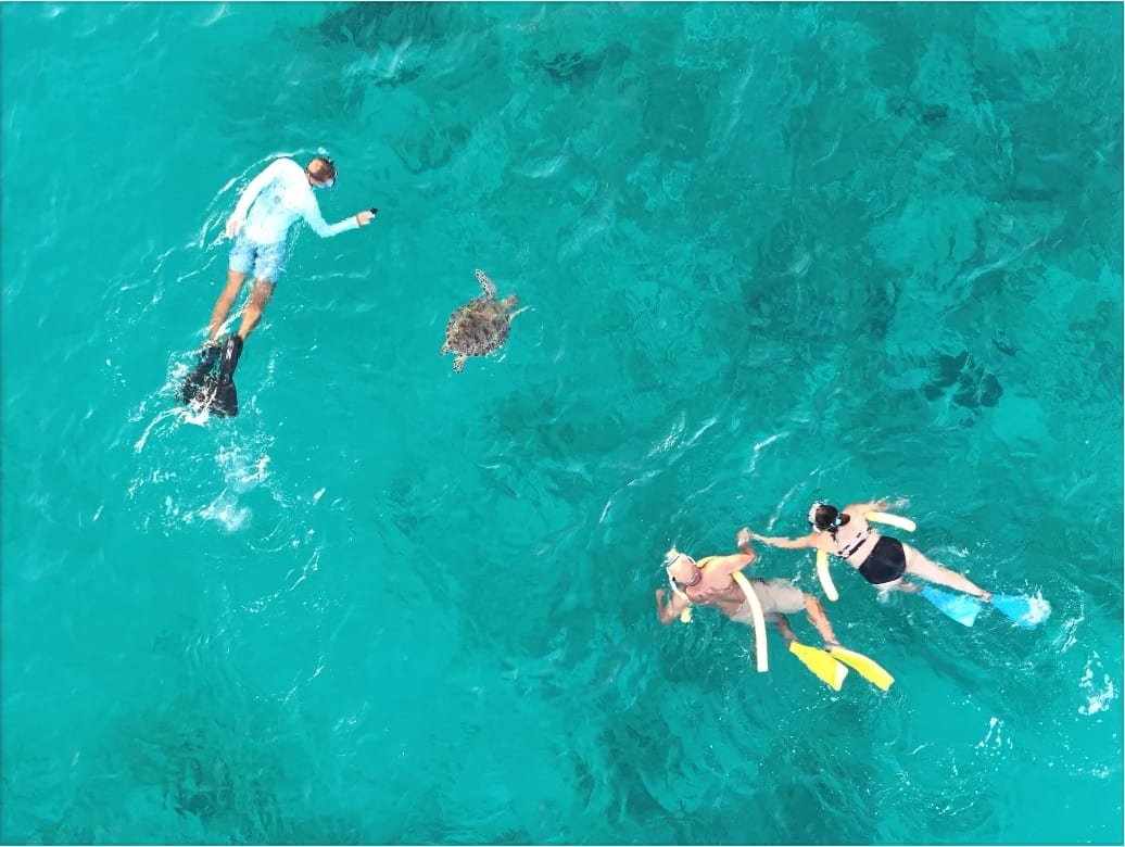 Three snorkelers observe a sea turtle from a respectful distance in Aruba