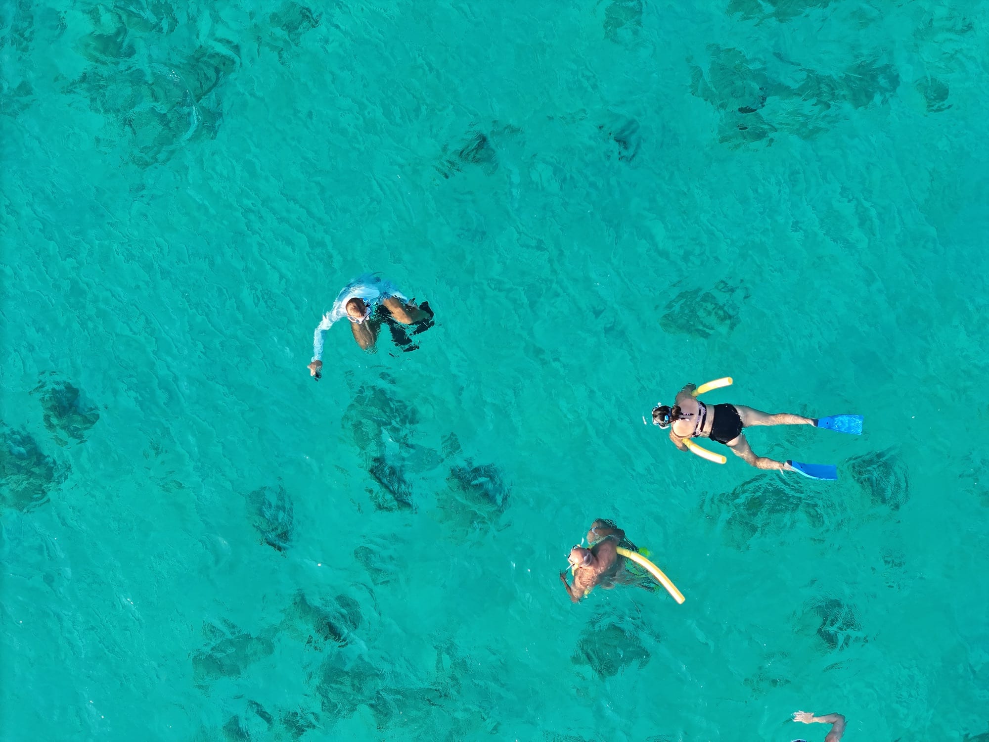 High-resolution aerial view of snorkelers moving calmly over Aruba seagrass